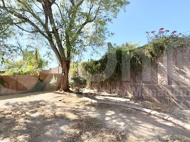 2222 W Mark Ln — Photo 3