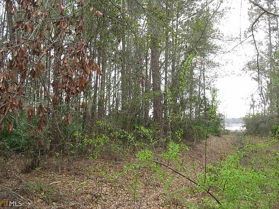 5th image of 0 Heron Point Ln Lot 75
