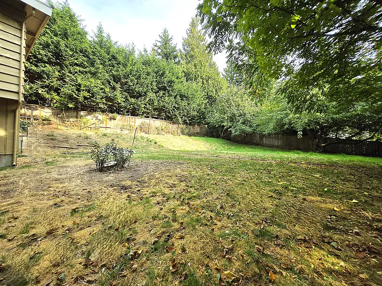 back yard