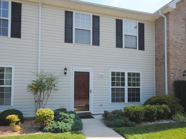 1260 Blue Ridge View Cir, Forest, VA 24551