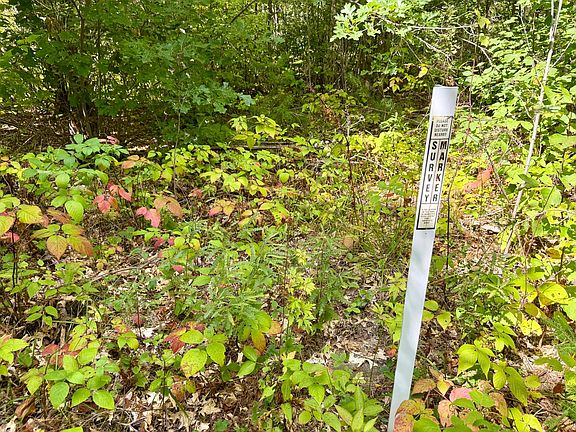 2nd image of Pine Lake Rd