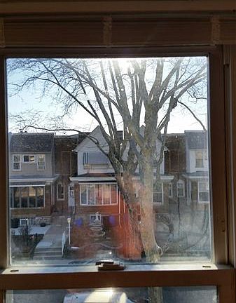Out Front Window