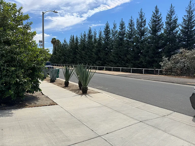 916 N Redondo St — Photo 11