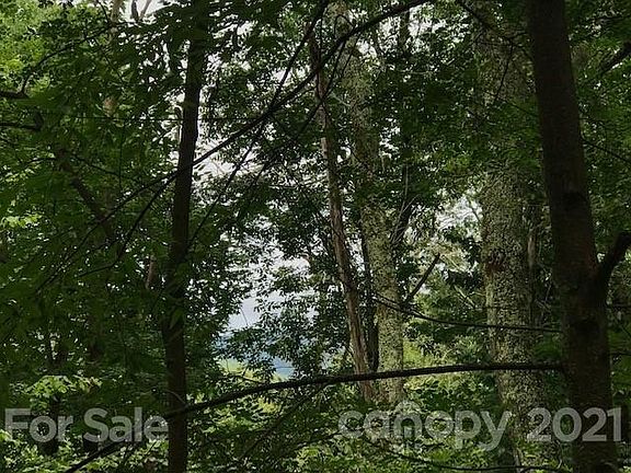 4th image of 153 Linville Oaks Dr Lot 8