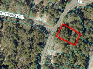 0 Guava Terrace Pl #2, Ocklawaha, FL 32179