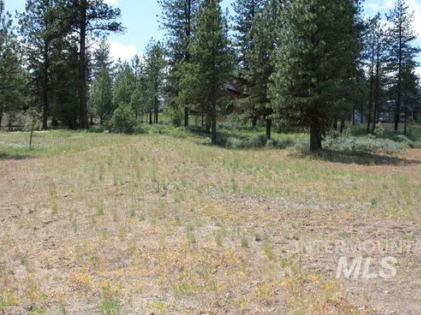 LOT 8 Camas Dr, New Meadows, ID 83654