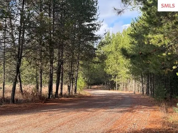171 Bear Rd, Priest River, ID 83856