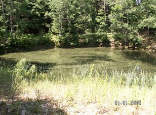 W White Rd, Free Soil, MI 49411