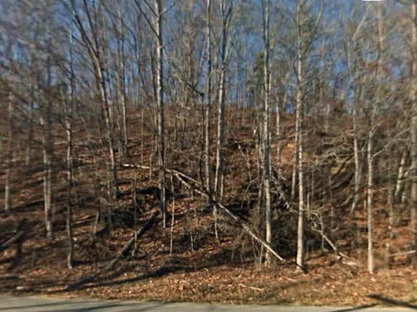 0 Shiloh Rd, Decatur, TN 37322