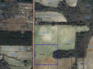 0 Bj Mixon Rd, Cottonwood, AL 36320
