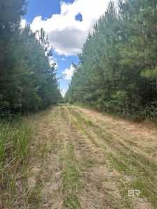 0 Highway 31, Bay Minette, AL, 36507
