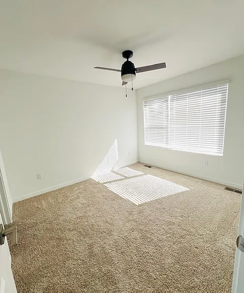 334 N Geneva St — Photo 11
