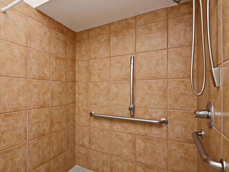 Primary bathroom roll-in shower.