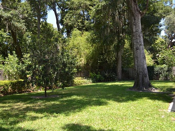 Gorgeous backyard