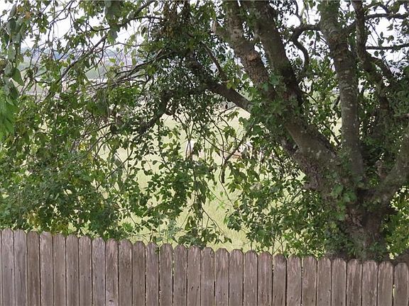 5th image of 506 Brazoria Trl