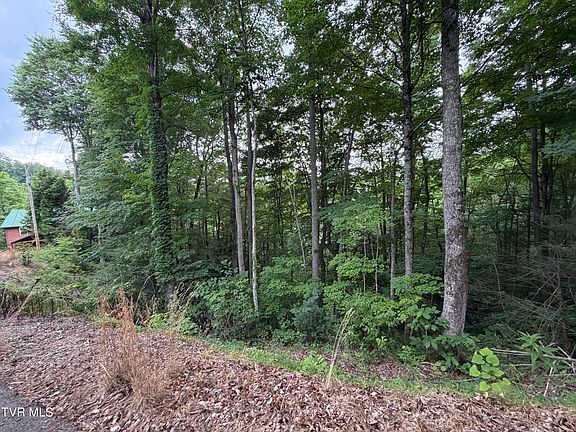 2nd image of High Top Loop