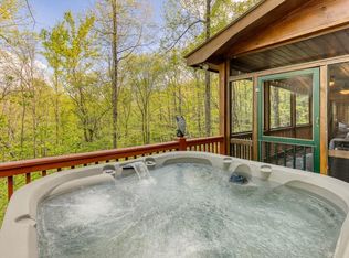 688 Little Bushy Head Rd, Blue Ridge, GA 30513