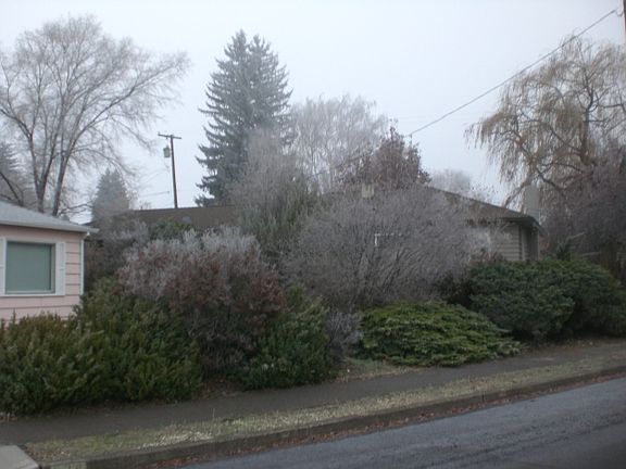2nd image of 524 NW Canyon Dr