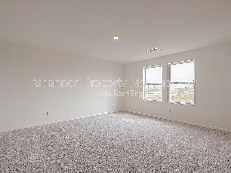 3993 Fringe Tree Ln — Photo 16