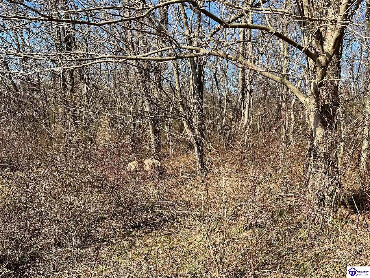 7213 Brandenburg Rd, Ekron, KY 40117 Zillow