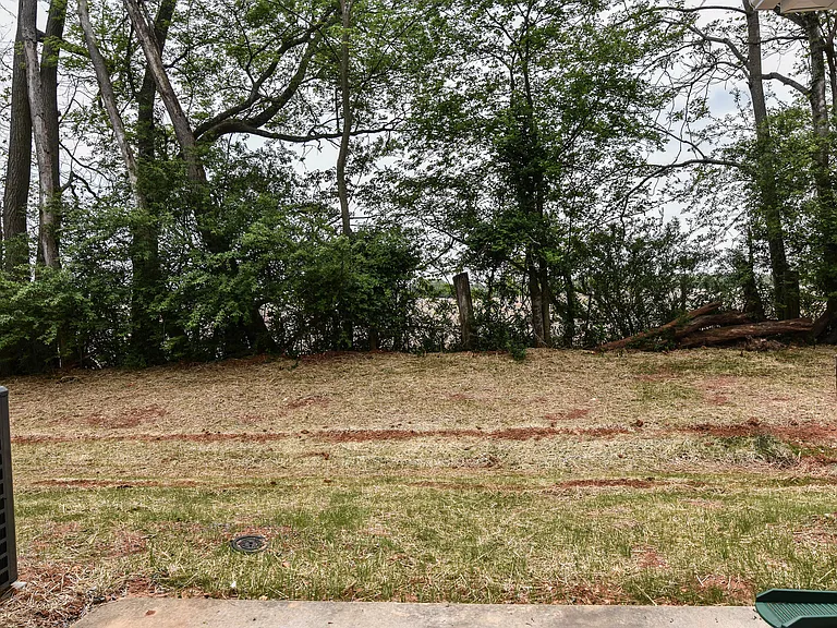 259 Alexander Blvd — Photo 14