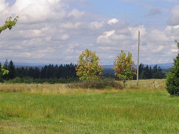 View to NW