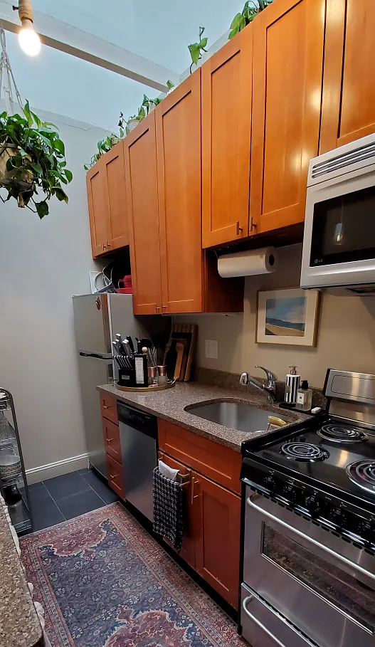 1 bed, 550 sqft, $3,100 — Photo 4
