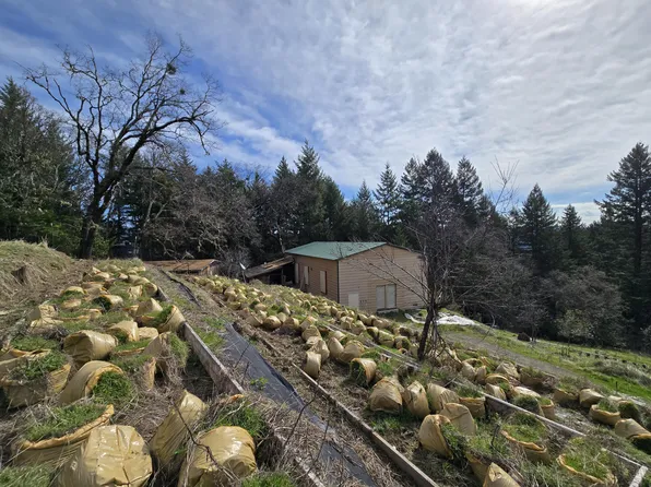 495 Wool Mountain Rd, Zenia, CA 95595