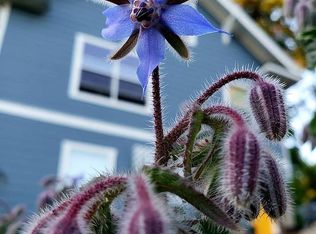 210 C St, Vernonia, OR 97064