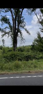 6445 Dinkins Mill Rd, Rembert, SC, 29128