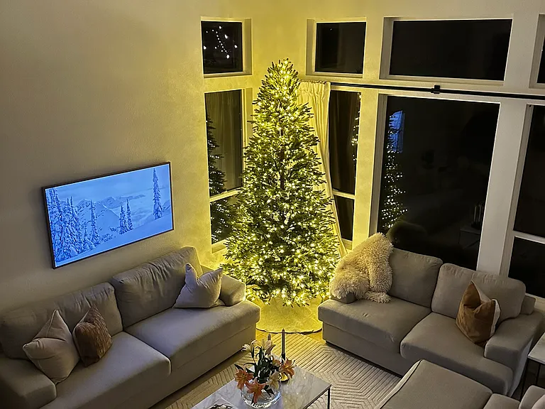 Living Room with Christmas tree!