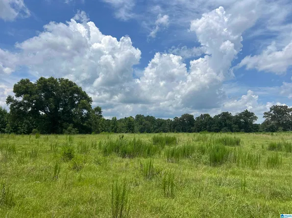 4540 Risers Mill Rd #12, Alpine, AL 35014