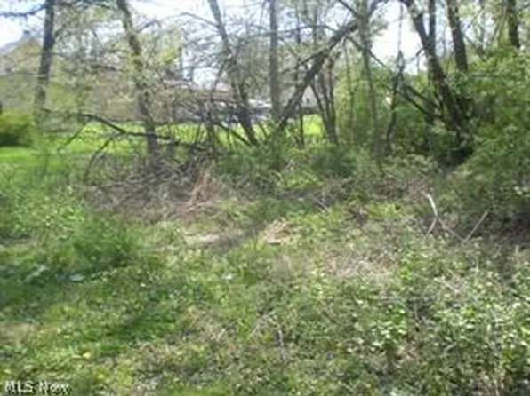 172 & 173 Belcher Ave, Barberton, OH 44203