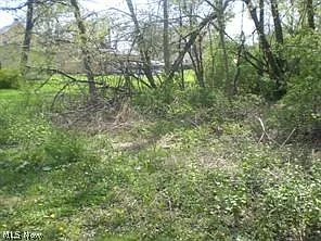 172 & 173 Belcher Ave photo 1