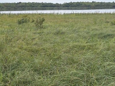 S Gull Lake Rd NE, Tenstrike, MN, 56683