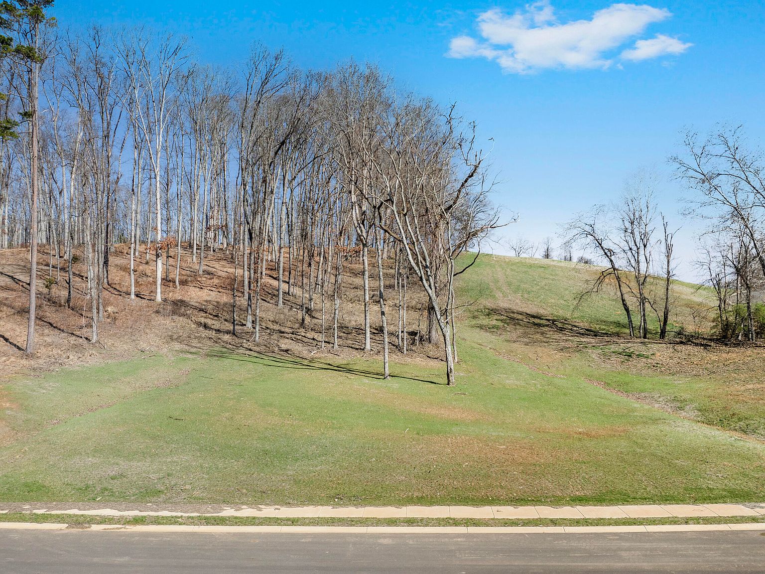 Windswept Way, Morristown, TN 37814 | MLS #1256039 | Zillow