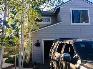 310 Meadow Wood Cir, Dillon, CO 80435