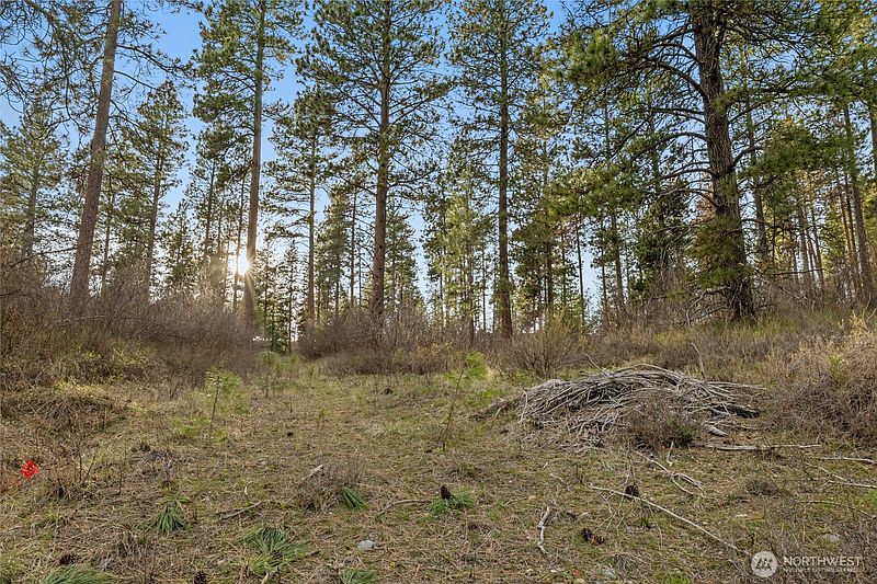 4th image of 250 Fir Tree Drive