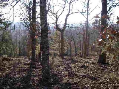 Lots 14 15 16 Mc 8071, Bull Shoals, AR, 72619