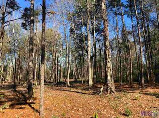 Lots 3 A George Watts Rd, Livingston, LA 70754