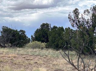 95 Abbe Spgs, Magdalena, NM 87825