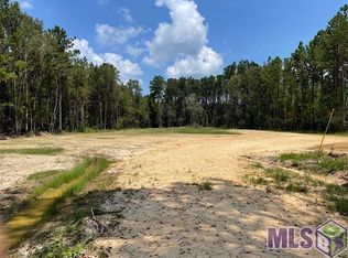 21197 State Highway 442, Holden, LA 70744