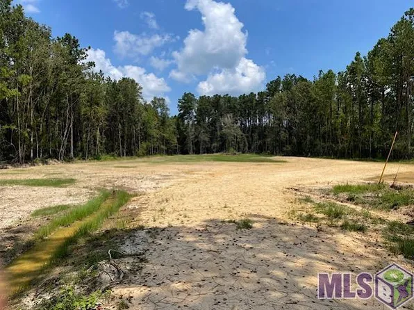 21197 State Highway 442, Holden, LA 70744