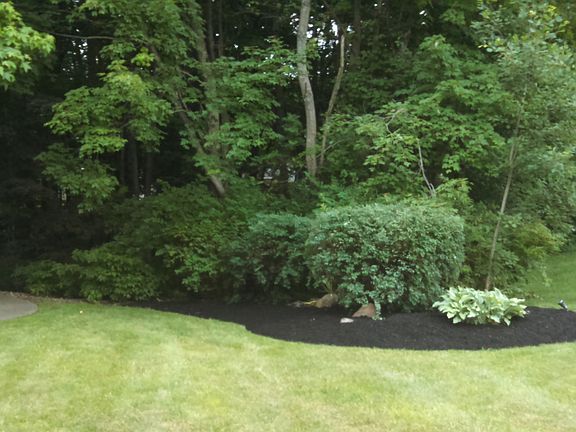 Professional Landscaping
