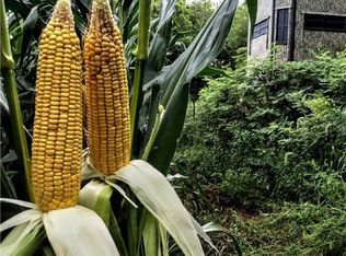 521 Rutledge St, Melcher Dallas, IA 50062