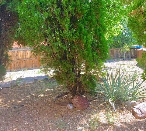 2nd image of 2303 Calle Anna Jean Ct