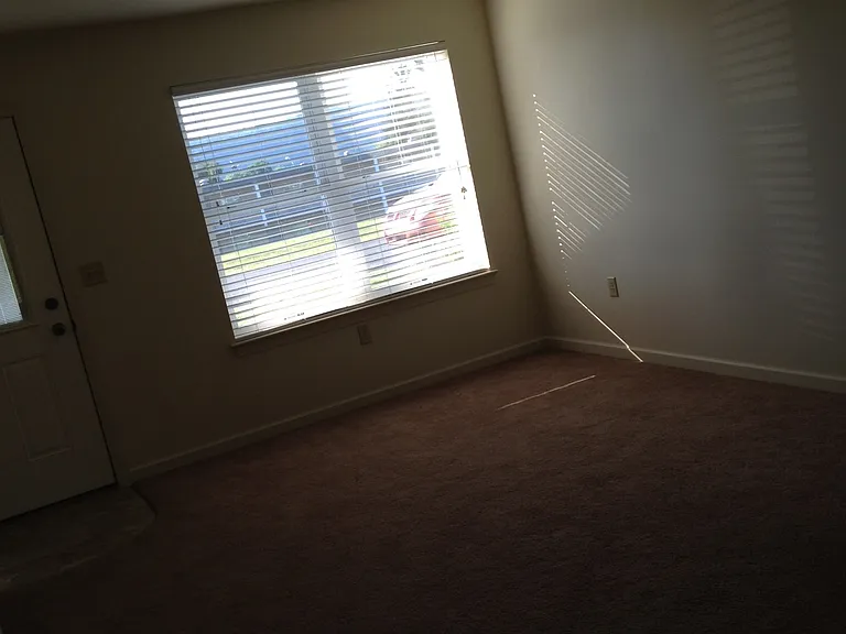 118 Myotis Dr — Photo 4