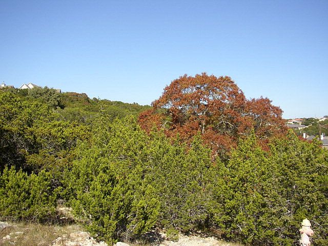 1st image of 0 NW Hills Dr