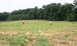 2nd image of 700 Macon Rd