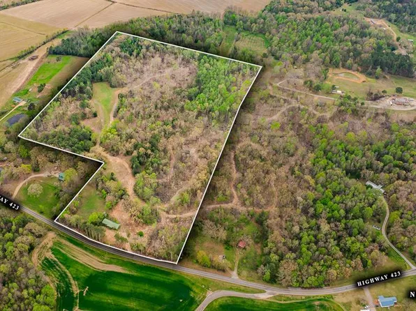 7050 Highway 423, Mc Kenzie, TN 38201